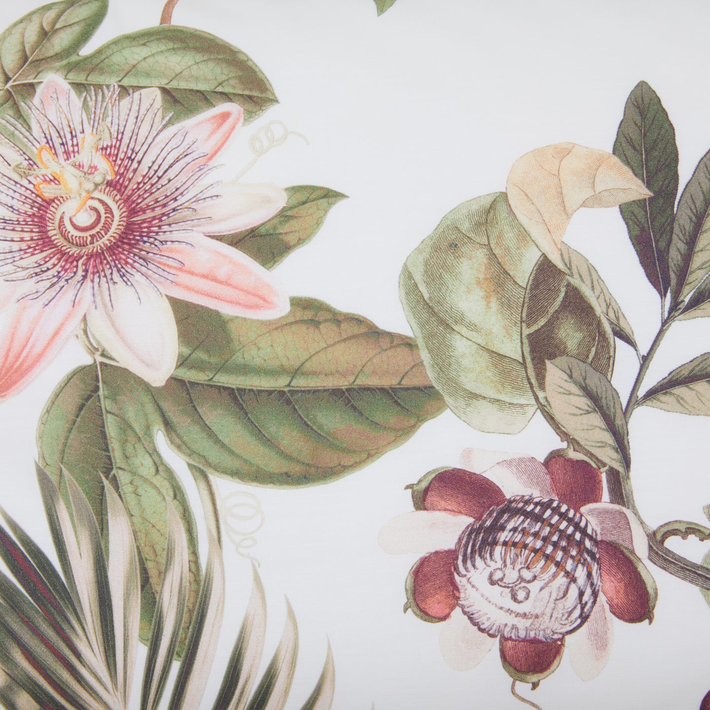 Completo Lenzuola Mirabello Exotica Floreale in Percalle