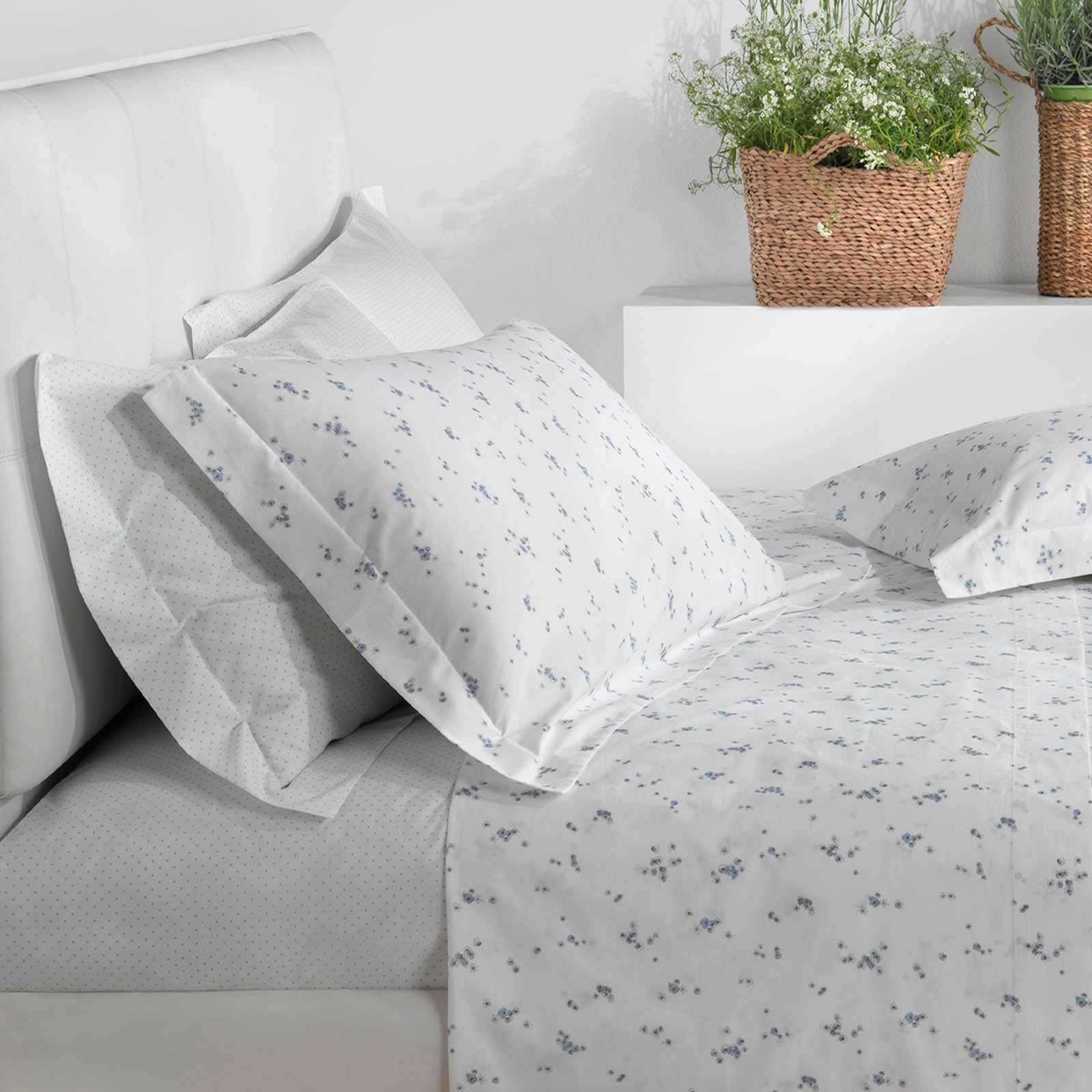 Catherine Lansfield Federe Per Cuscino In Set Easy Iron Percale 2 Pz 75x50 Cm Easy Iron Percale Catherine Lansfield 13 Catherine Lansfield Federe Per Cuscino In Set Easy Iron Percale 2 Pz 75x50 Cm Easy Iron Percale Catherine Lansfield 13