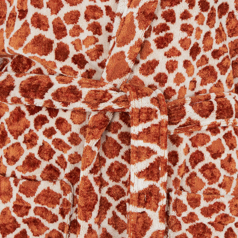 Accappatoio con Cappuccio Carrara Bronze taipan Moderno in Spugna