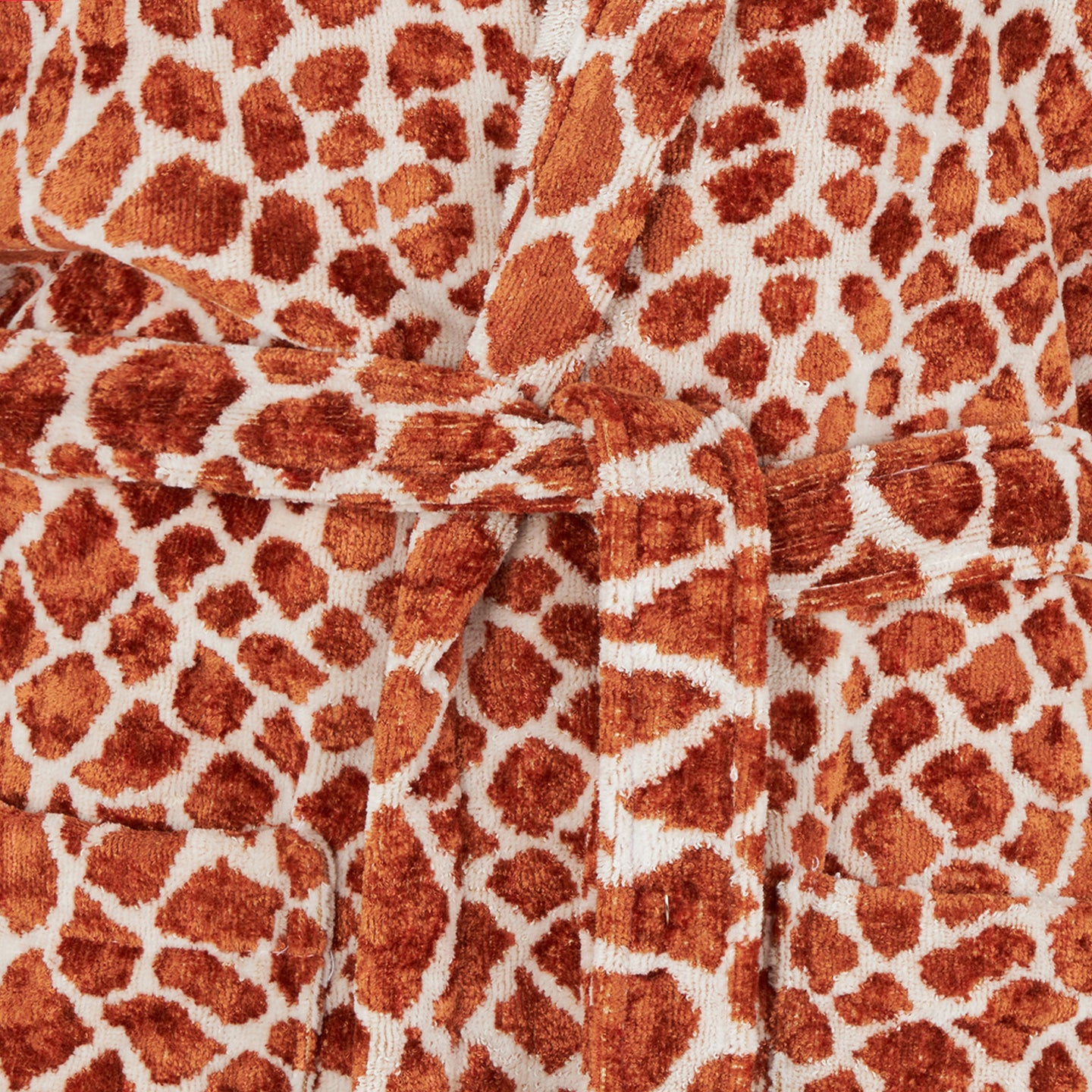 Accappatoio con Cappuccio Carrara Bronze taipan Moderno in Spugna