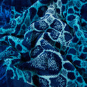 Asciugamano con Ospite Carrara Ocean Moderno in Spugna