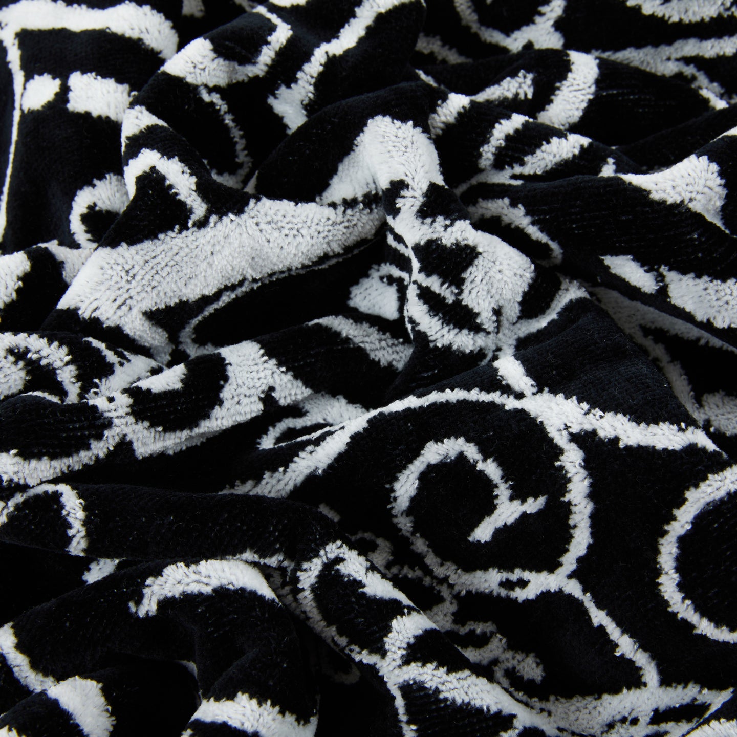 Asciugamano con Ospite Philipp Plein Script Moderno in Spugna