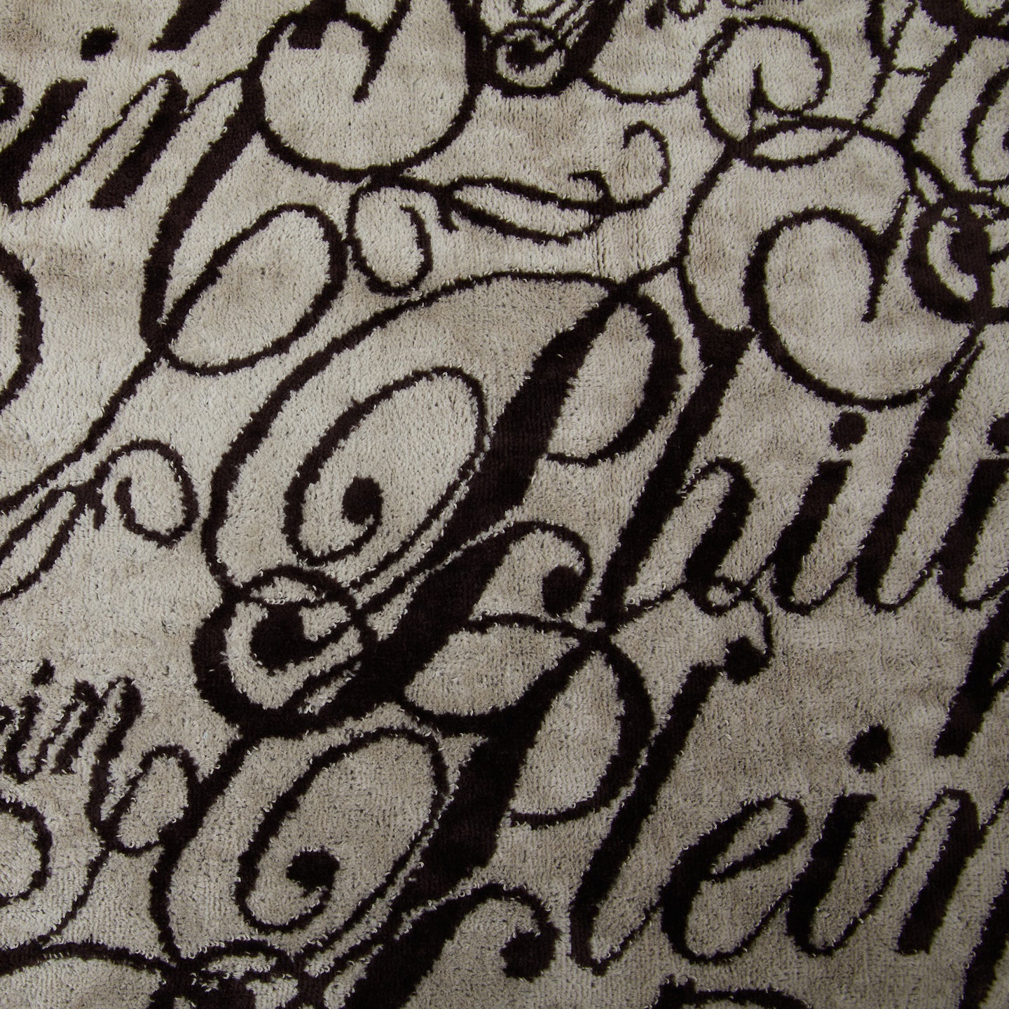 Asciugamano con Ospite Philipp Plein Script Moderno in Spugna