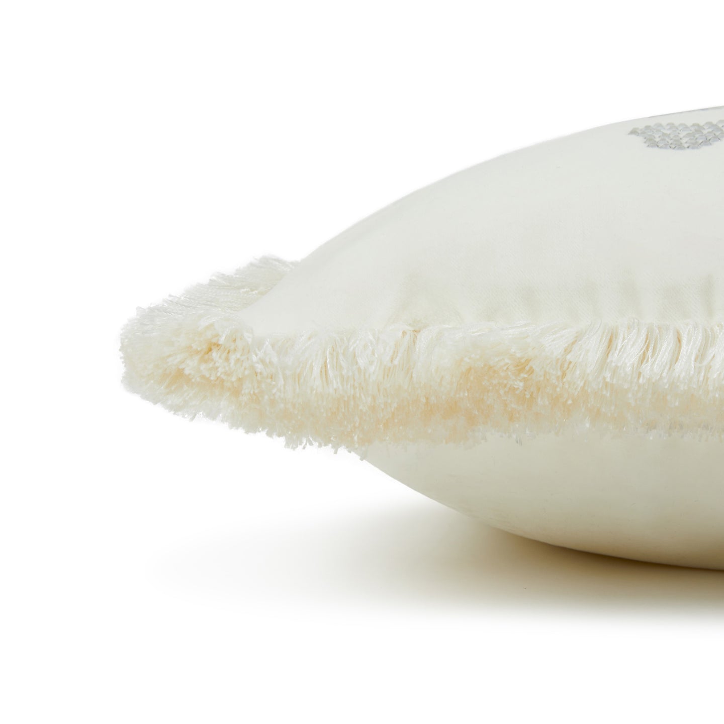 Cuscino d'arredo Philipp Plein Crystal skull Tinta Unita in Velluto